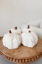 Load image into Gallery viewer, White mini pumpkins
