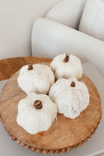 Load image into Gallery viewer, White mini pumpkins
